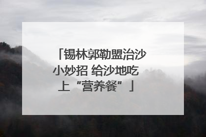 锡林郭勒盟治沙小妙招 给沙地吃上“营养餐”