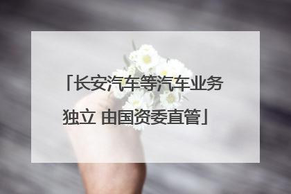 长安汽车等汽车业务独立 由国资委直管