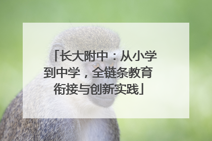 长大附中：从小学到中学，全链条教育衔接与创新实践