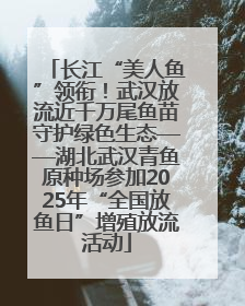 长江“美人鱼”领衔！武汉放流近千万尾鱼苗守护绿色生态——湖北武汉青鱼原种场参加2025年“全国放鱼日”增殖放流活动