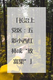 长治上党区：五彩小西红柿成“致富果”