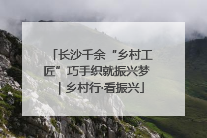 长沙千余“乡村工匠”巧手织就振兴梦｜乡村行·看振兴