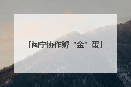 闽宁协作孵“金”蛋