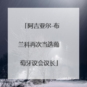 阿吉亚尔-布兰科再次当选葡萄牙议会议长