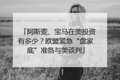 阿斯麦、宝马在美投资有多少？欧盟紧急“盘家底”准备与美谈判