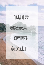 陆川导演纪录片《西野》获关注