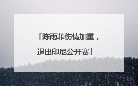 陈雨菲伤情加重，退出印尼公开赛