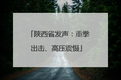 陕西省发声：重拳出击、高压震慑