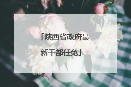 陕西省政府最新干部任免