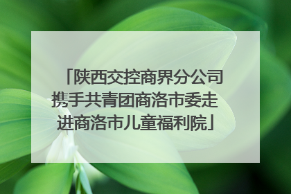 陕西交控商界分公司携手共青团商洛市委走进商洛市儿童福利院