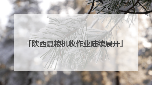 陕西夏粮机收作业陆续展开