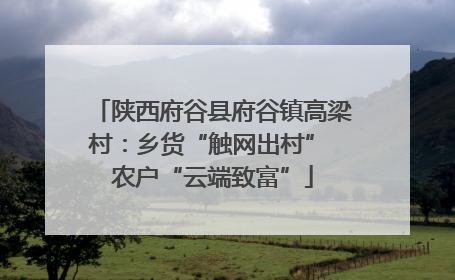 陕西府谷县府谷镇高梁村：乡货“触网出村” 农户“云端致富”