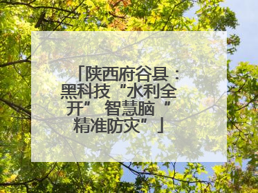 陕西府谷县：黑科技“水利全开” 智慧脑“精准防灾”
