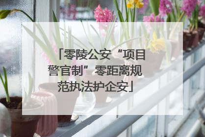 零陵公安“项目警官制”零距离规范执法护企安