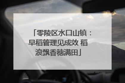 零陵区水口山镇：早稻管理见成效 稻浪飘香穗满田