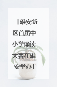 雄安新区首届中小学诵读大赛在雄安举办
