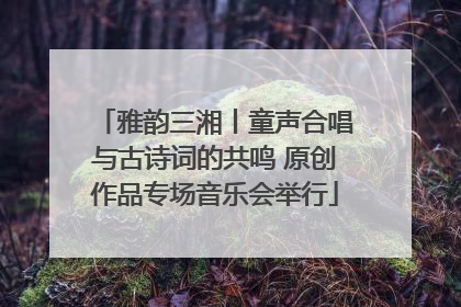 雅韵三湘丨童声合唱与古诗词的共鸣 原创作品专场音乐会举行