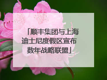 顺丰集团与上海迪士尼度假区宣布数年战略联盟