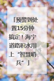 预警到处置15分钟搞定！海宁道路积水用上“智慧哨兵”