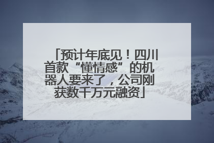 预计年底见！四川首款“懂情感”的机器人要来了，公司刚获数千万元融资