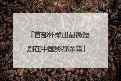 首部怀柔出品微短剧在中国影都杀青