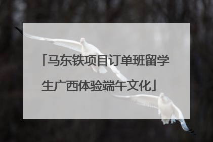 马东铁项目订单班留学生广西体验端午文化