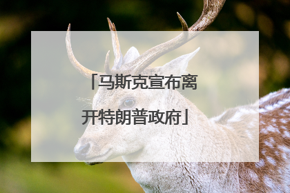 马斯克宣布离开特朗普政府