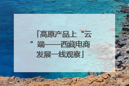 高原产品上“云”端——西藏电商发展一线观察