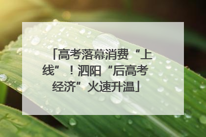 高考落幕消费“上线”!泗阳“后高考经济”火速升温