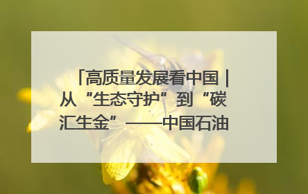 高质量发展看中国｜从“生态守护”到“碳汇生金”——中国石油大庆油田绿色蝶变