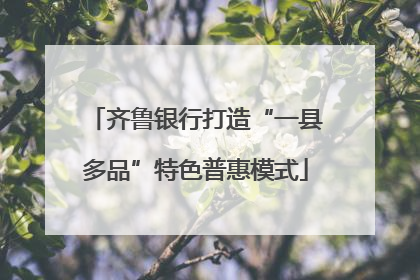 齐鲁银行打造“一县多品”特色普惠模式