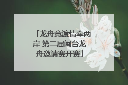 龙舟竞渡情牵两岸 第二届闽台龙舟邀请赛开赛