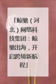 鲸驰（河北）网络科技集团：鲸驰出海，开启跨境新航程