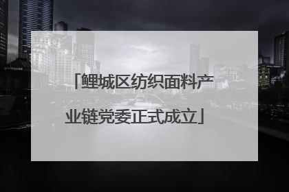 鲤城区纺织面料产业链党委正式成立