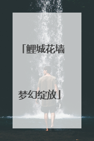 鲤城花墙 梦幻绽放
