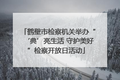 鹤壁市检察机关举办“‘典’亮生活 守护美好”检察开放日活动