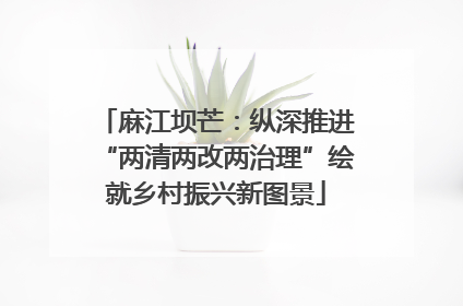 麻江坝芒：纵深推进“两清两改两治理”绘就乡村振兴新图景