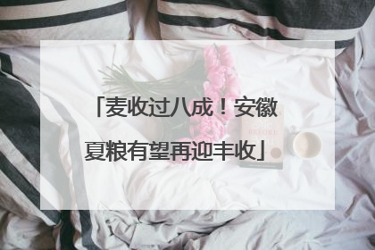 麦收过八成！安徽夏粮有望再迎丰收