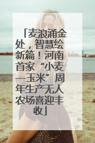 麦浪涌金处，智慧绘新篇！河南首家“小麦—玉米”周年生产无人农场喜迎丰收