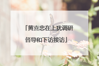黄喜忠在上犹调研督导和下访接访