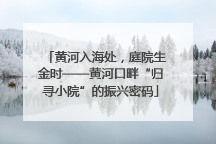 黄河入海处，庭院生金时——黄河口畔“归寻小院”的振兴密码