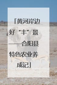 黄河岸边好“丰”景——合阳县特色农业养成记