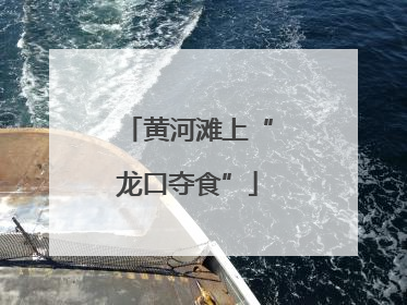 黄河滩上“龙口夺食”