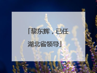 黎东辉，已任湖北省领导