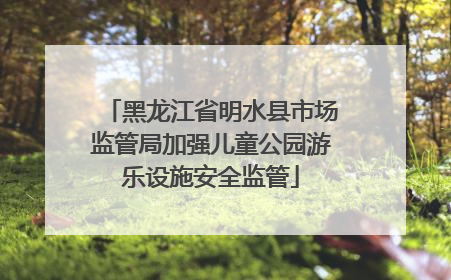 黑龙江省明水县市场监管局加强儿童公园游乐设施安全监管
