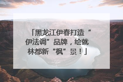 黑龙江伊春打造“伊法调”品牌，绘就林都新“枫”景！