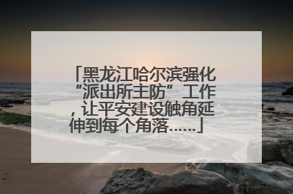 黑龙江哈尔滨强化“派出所主防”工作，让平安建设触角延伸到每个角落……