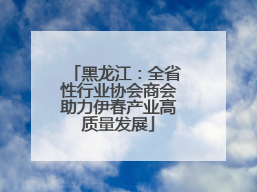 黑龙江：全省性行业协会商会助力伊春产业高质量发展