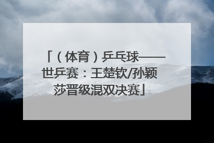 （体育）乒乓球——世乒赛：王楚钦/孙颖莎晋级混双决赛