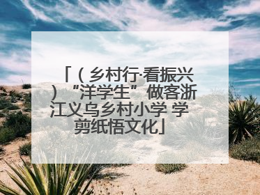 （乡村行·看振兴）“洋学生”做客浙江义乌乡村小学 学剪纸悟文化
